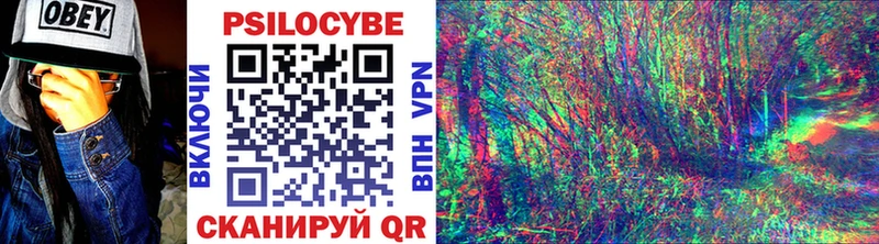 это Telegram  Краснослободск  Псилоцибиновые грибы Psilocybe  наркотики 